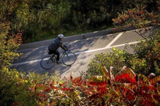 A low speed fall on a bike path can cause.
