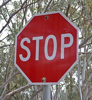 You drive up to an intersection with a stop sign. There is no painted stop line. Where should you stop?