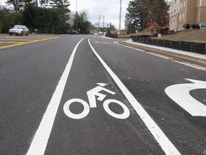 You may drive in the bike lane: