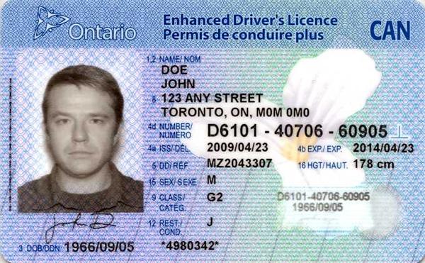 what does dd means on driver license