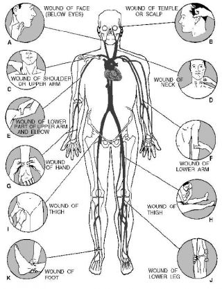 What is a part of the body where a main artery lies near the skin surface and over a bone?