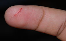 For a small cut, what is a safe way to quickly stop bleeding?