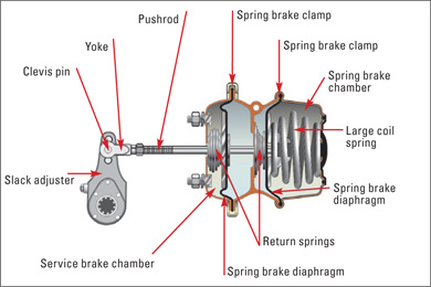 The effectiveness of the spring brakes depends on the adjustment of: