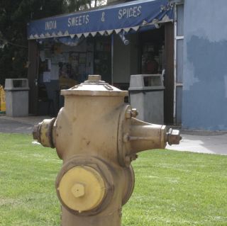 How close to a fire hydrant (Fire plug) may you park a motor vehicle?