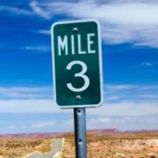 Reference markers are mile markers placed along the outside shoulder to mark the edge of the roadway. They convey information to drivers about: