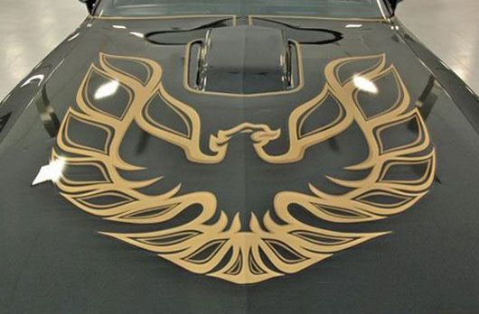 This logo is for which model of car?