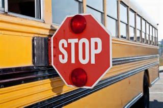 If you approach a school bus from either direction, while the bus is displaying alternately flashing red lights, you must: